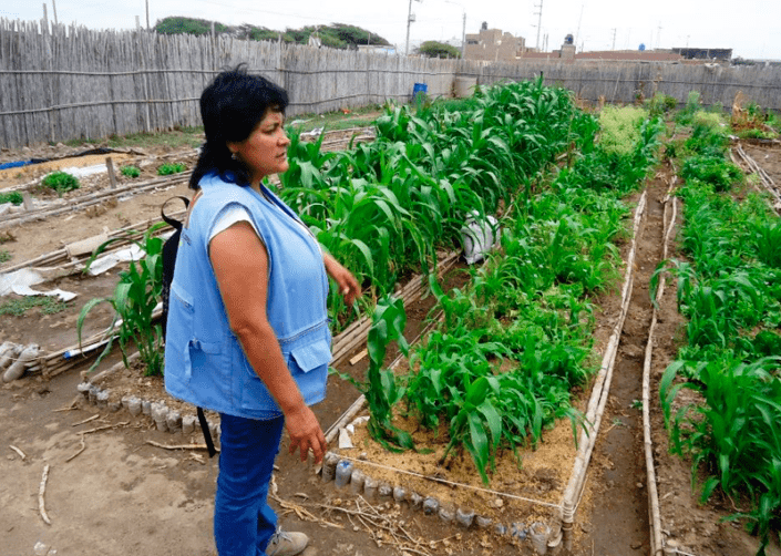 biohuerto ciudad de eten Perú