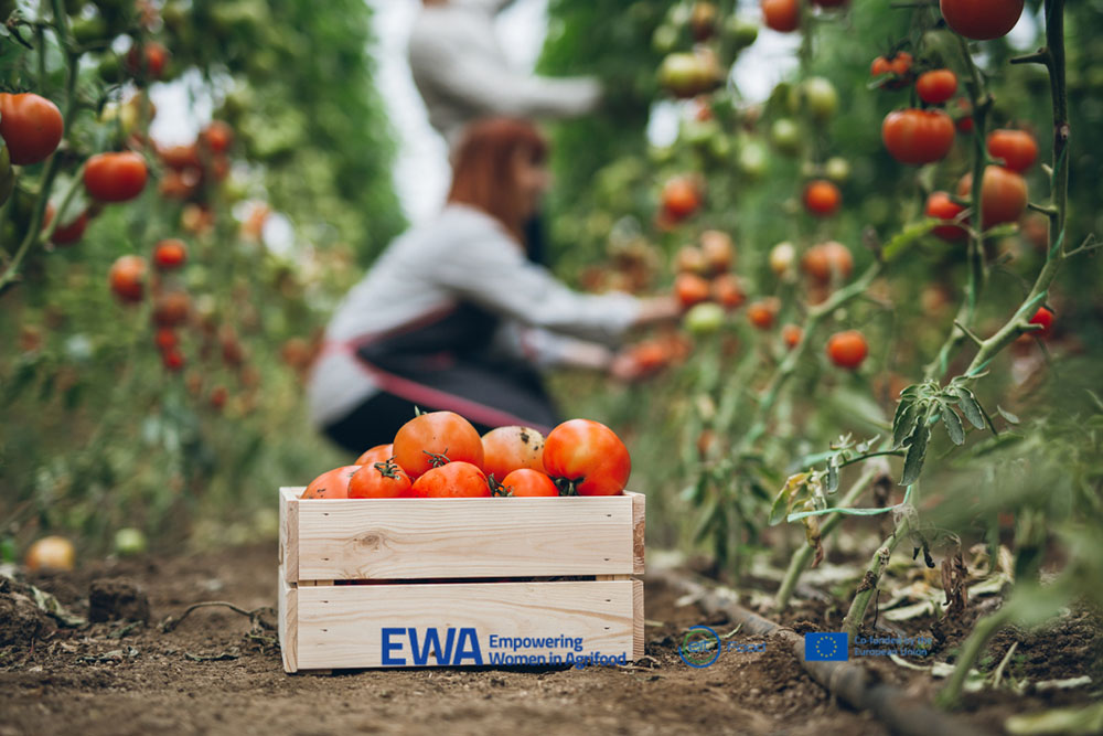 Programa EWA (Empowering Women in Agrifood)