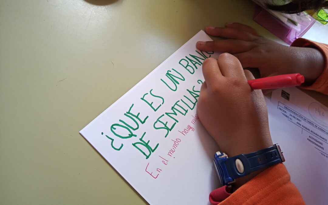 Guía práctica para crear un banco de semillas escolar
