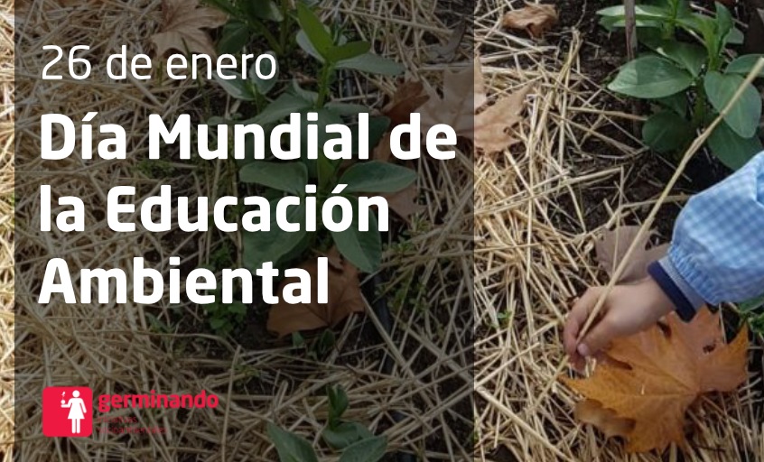 Agroecología escolar, la clave para el futuro de la educación ambiental