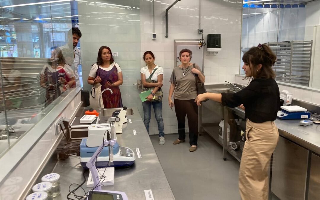 Materiales audiovisuales de la CAP de Transformación alimentaria