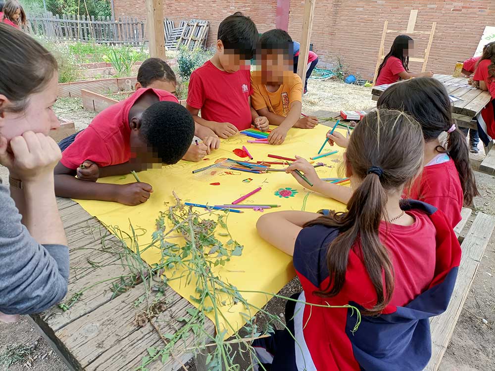 plantas_silvestres_huertos_escolares2