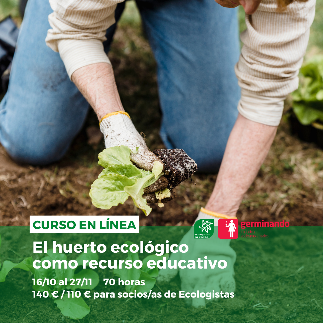 ACTIVIDAD 7: SEMILLEROS  HUERTOS ESCOLARES ECOLÓGICOS