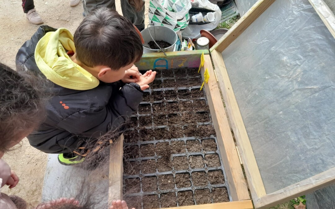 ‘La tierra que nos alimenta’, guía didáctica del proyecto Actúa SO para impulsar la alimentación saludable y el cuidado del entorno en la escuela