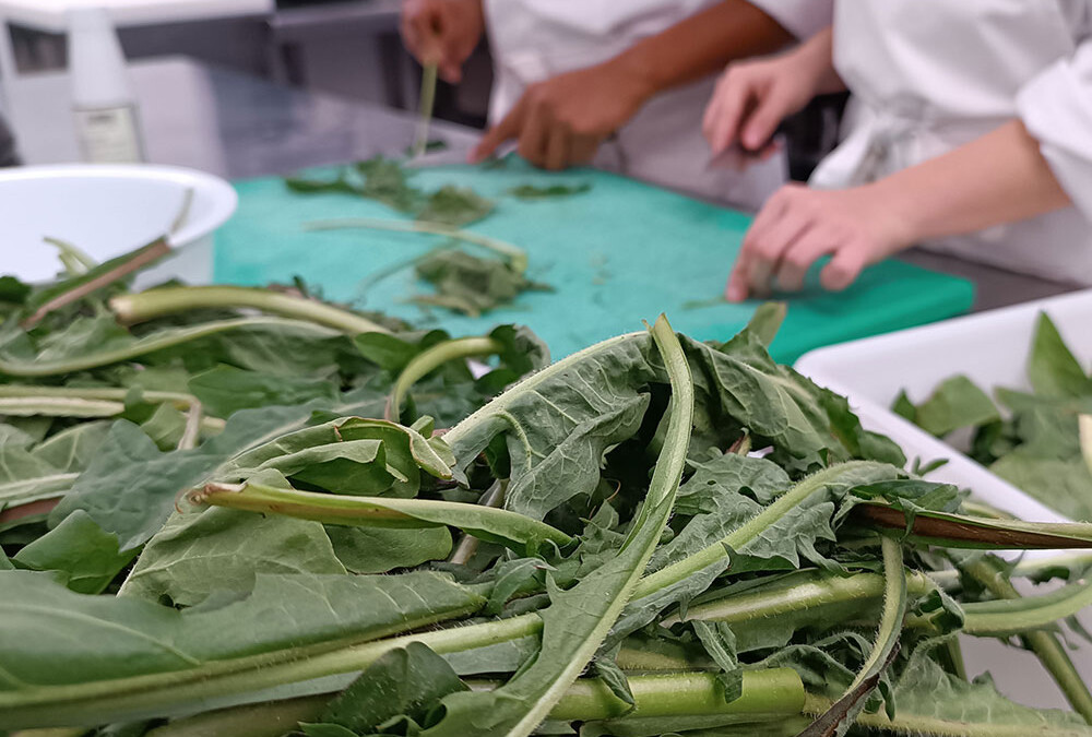 Alimentando Territorio, guía para cultivar, degustar y cocinar variedades locales de la Sierra Norte de Madrid