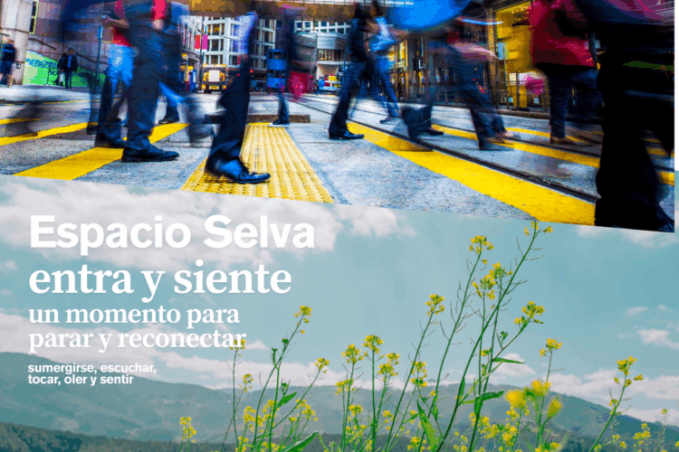 Espacio Selva