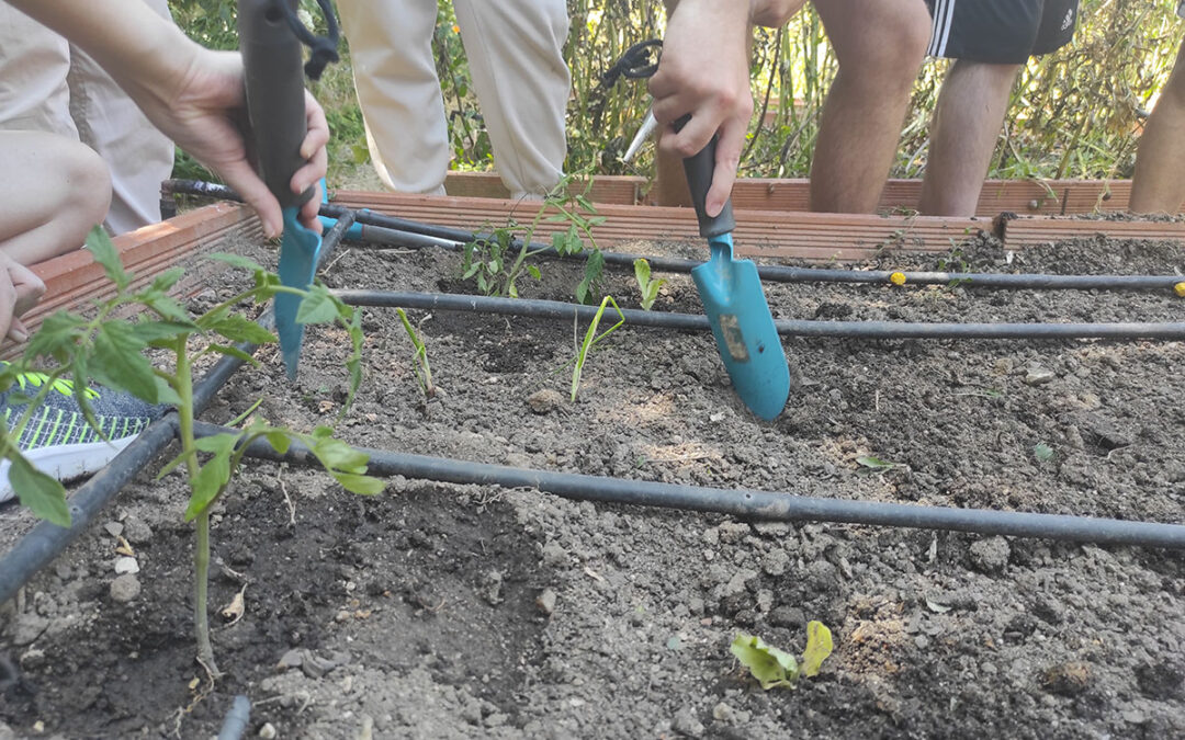 Cultivando salud y comunidad: el viaje de Sembrando Bienestares