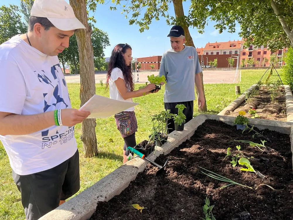 Horticultura y autismo: aprendizaje y oportunidades para la inclusión