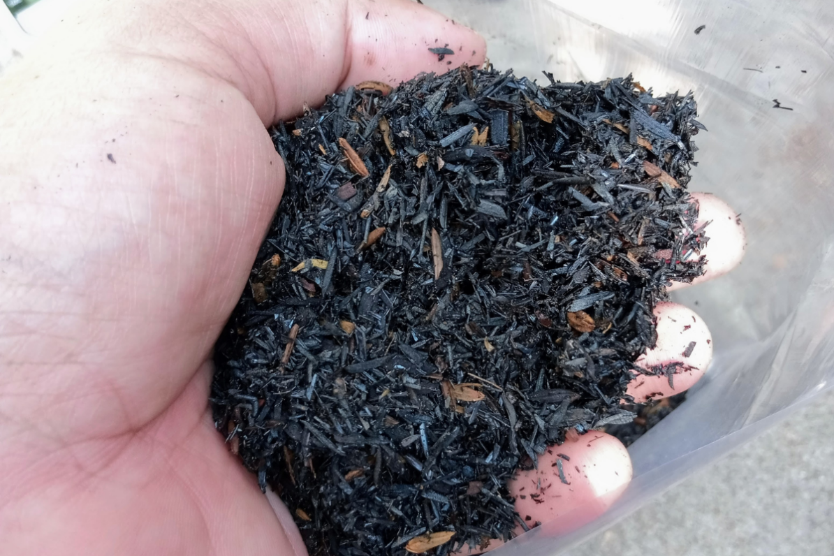 GO BIOINSUMAD. Innovación en bioinsumos fermentados y biochar
