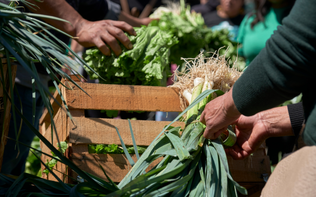El potencial agroecológico de la Sierra Oeste de Madrid