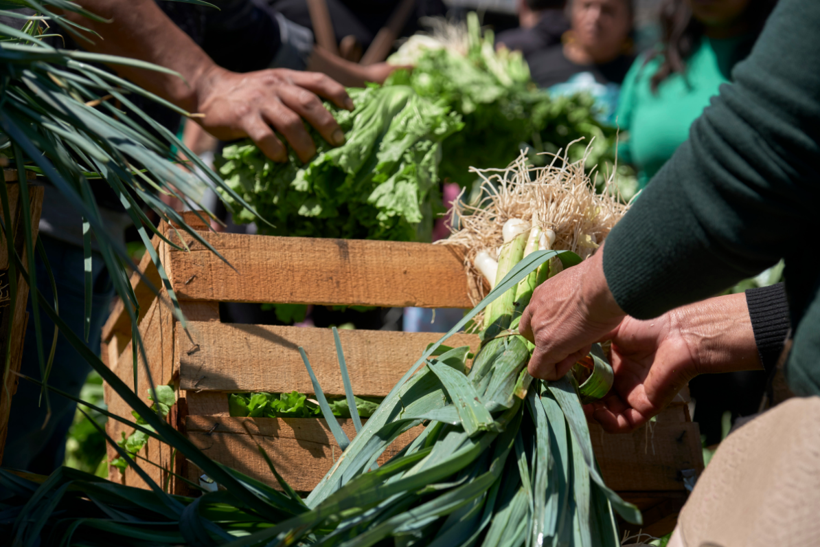 El potencial agroecológico de la Sierra Oeste de Madrid