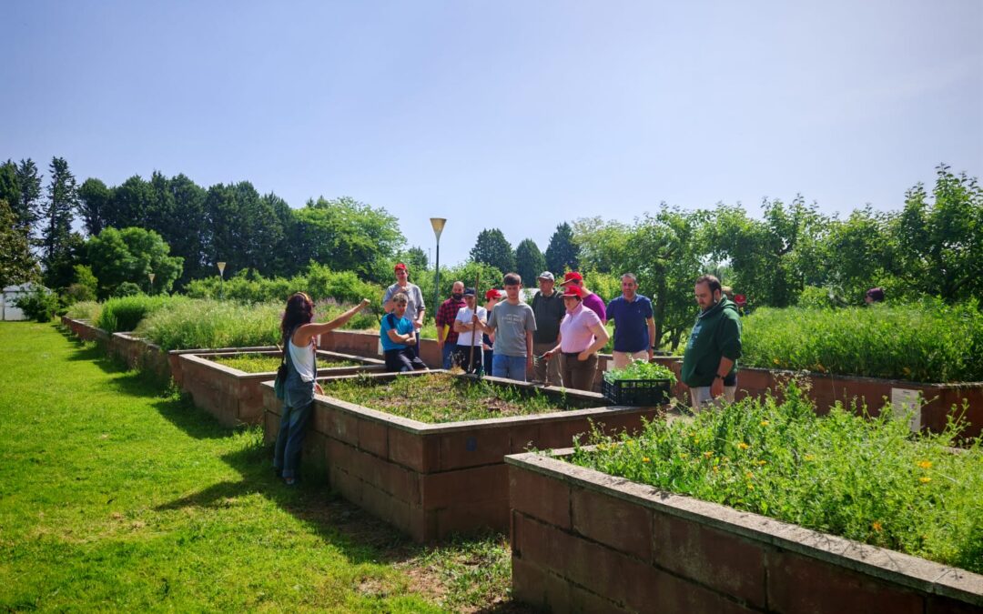 Manual de horticultura y jardinería social y terapéutica para personas con TEA