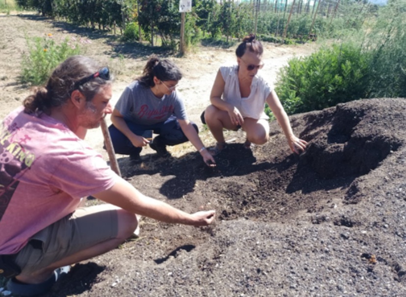 El proyecto BIOINSUMAD completa su primerafase de diseño para fomentar la regeneración del suelo en las huertas madrileñas