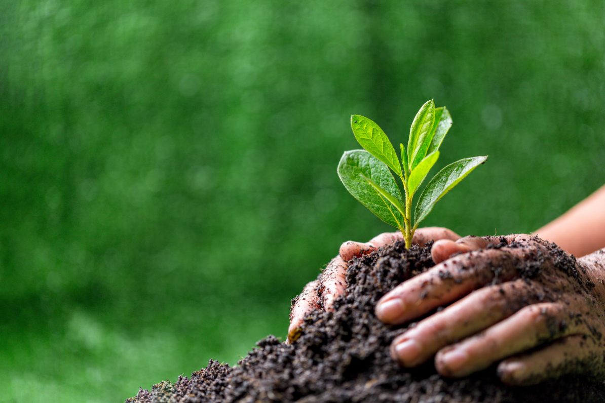 MURES Municipios Resilientes. Programa de educación, sensibilización y gestión ambiental